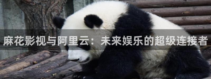 奇优影院在线免费手机版