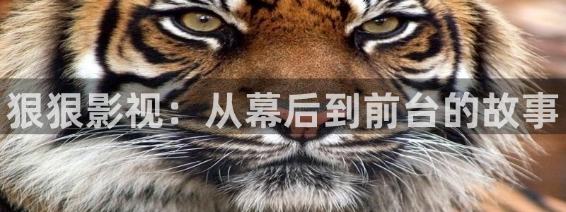 奇优影院改为啥名了：狠狠影视：从幕后到前台的故事